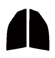 GY-3IR 運転席・助手席 クラウン ハードトップ S14# カット済みカーフィルム拍卖