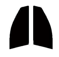 スパッタシルバー15 運転席・助手席 トヨタ カローラランクス E12# カット済みカーフィルム拍卖