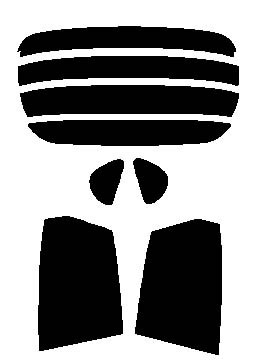 NS-003HC リヤセット トヨタ デュエット M10#A・M11#A カット済みカーフィルム拍卖