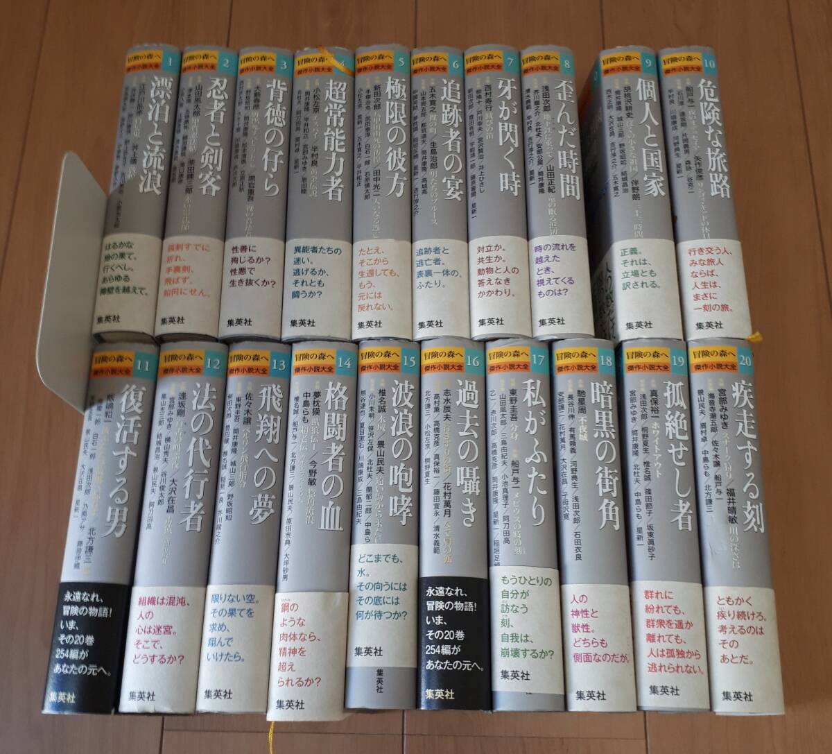冒険の森へ 傑作小説大全 全20巻セットまとめ 帯付き拍卖