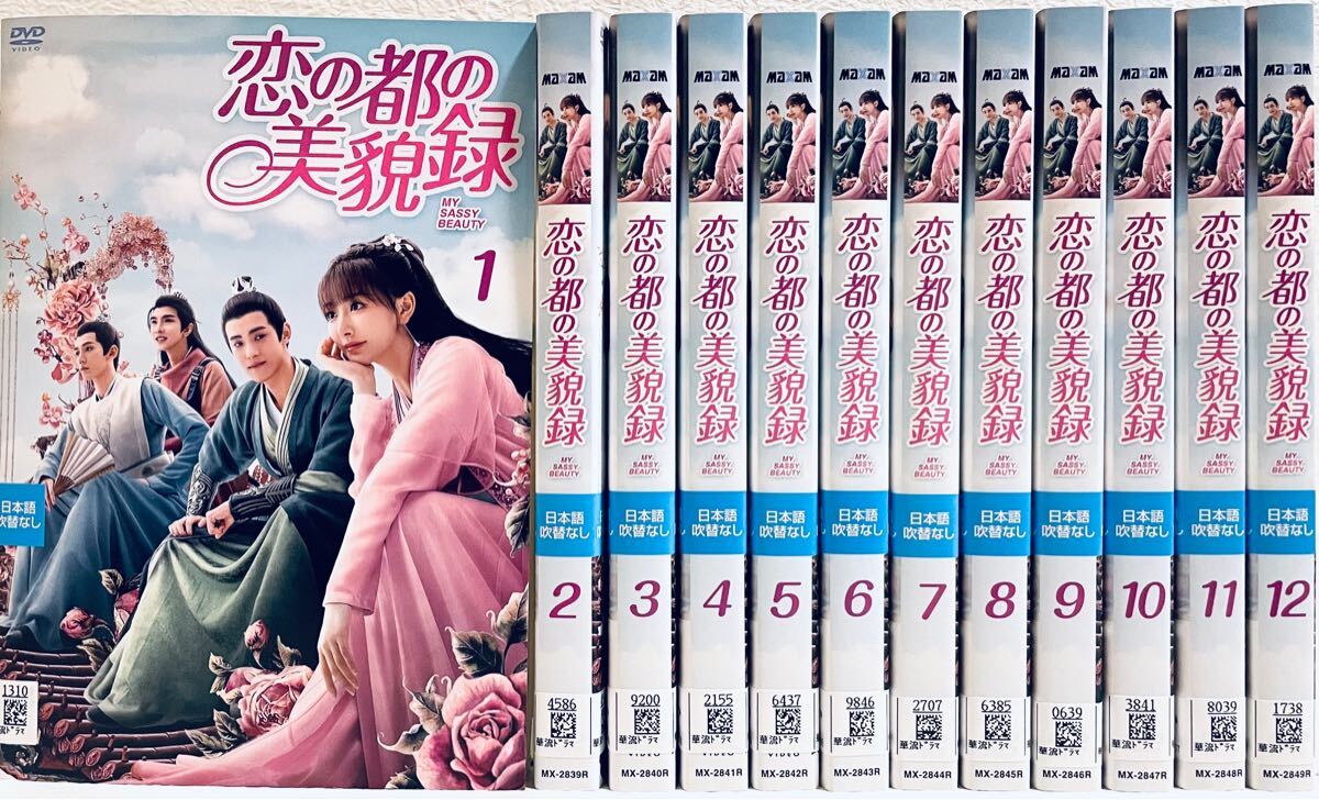 恋の都の美貌録 【全12巻】 レンタル版DVD 全巻セット コン・シュエアル アジアドラマ拍卖