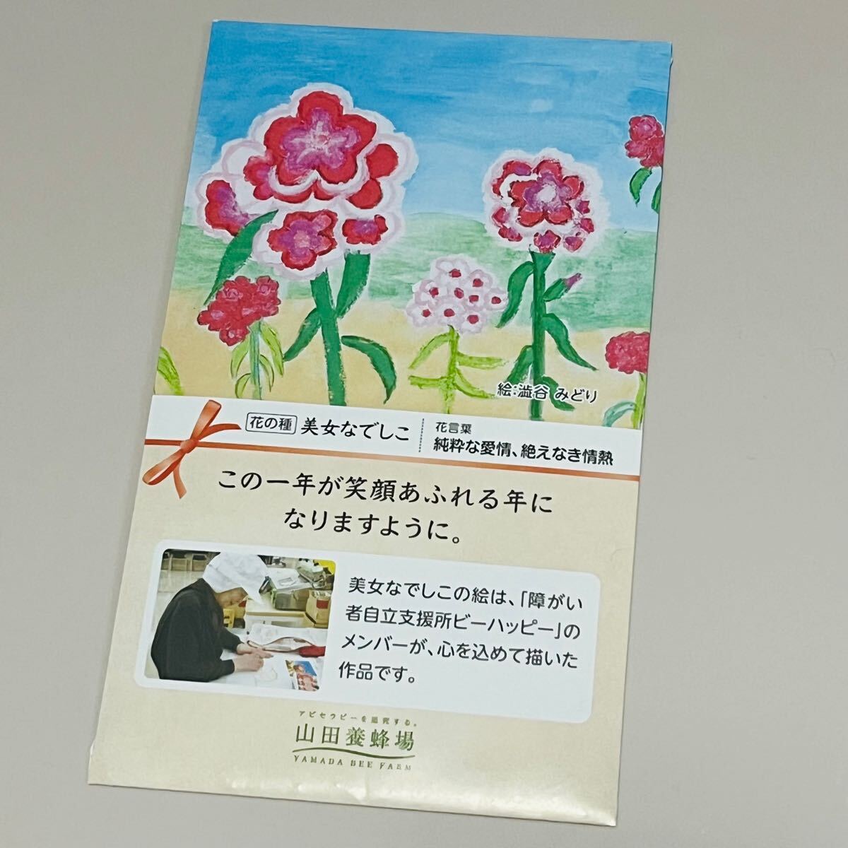 美女ナデシコ 花の種 シード 純粋な愛情 絶えなき情熱 山田養蜂場 ガーデニング好きな方拍卖
