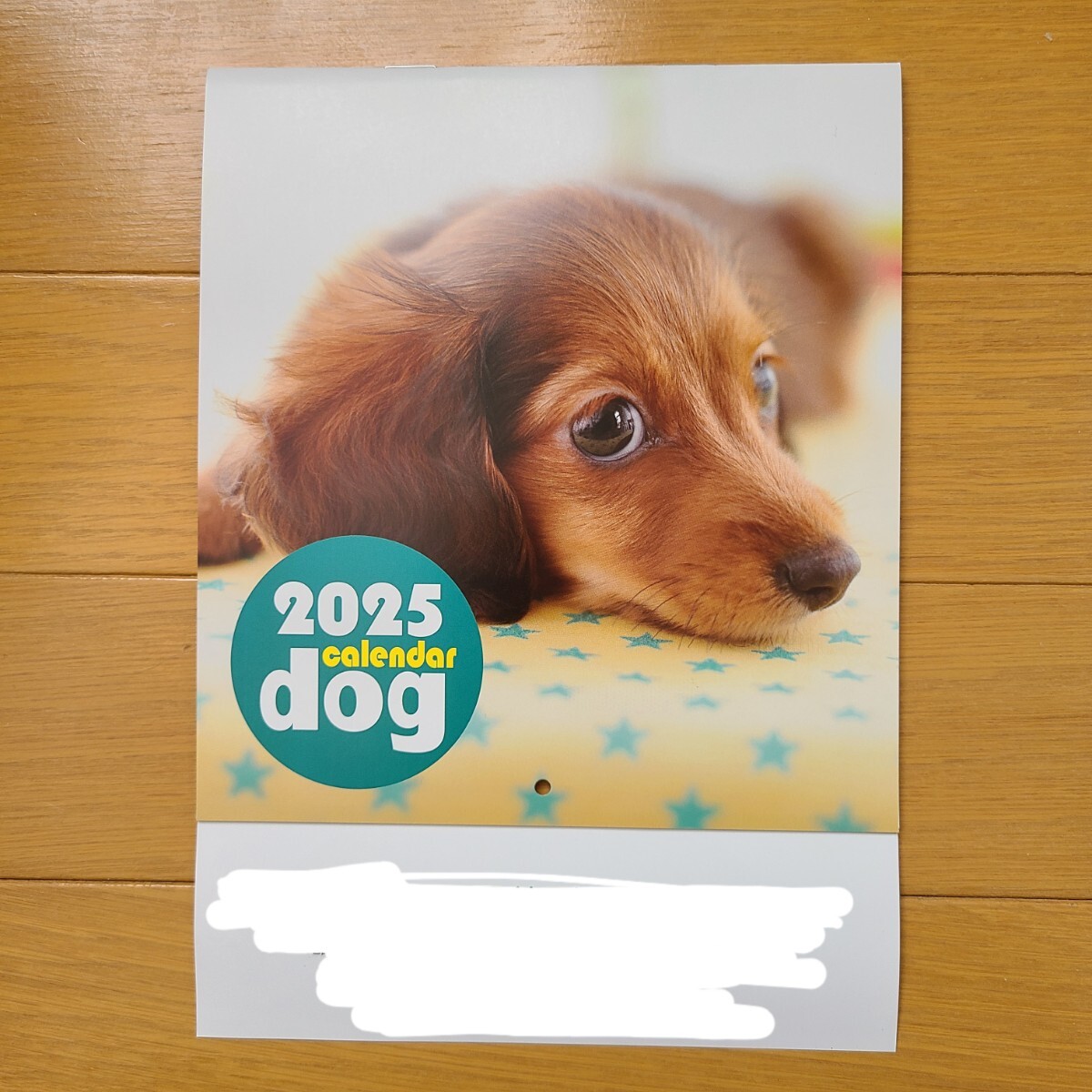 DOG とってもかわいい 犬 壁掛けカレンダー 2025(令和7年)メモ欄 祝日名 前月翌月表示 六曜入り 企業名入り 子犬拍卖