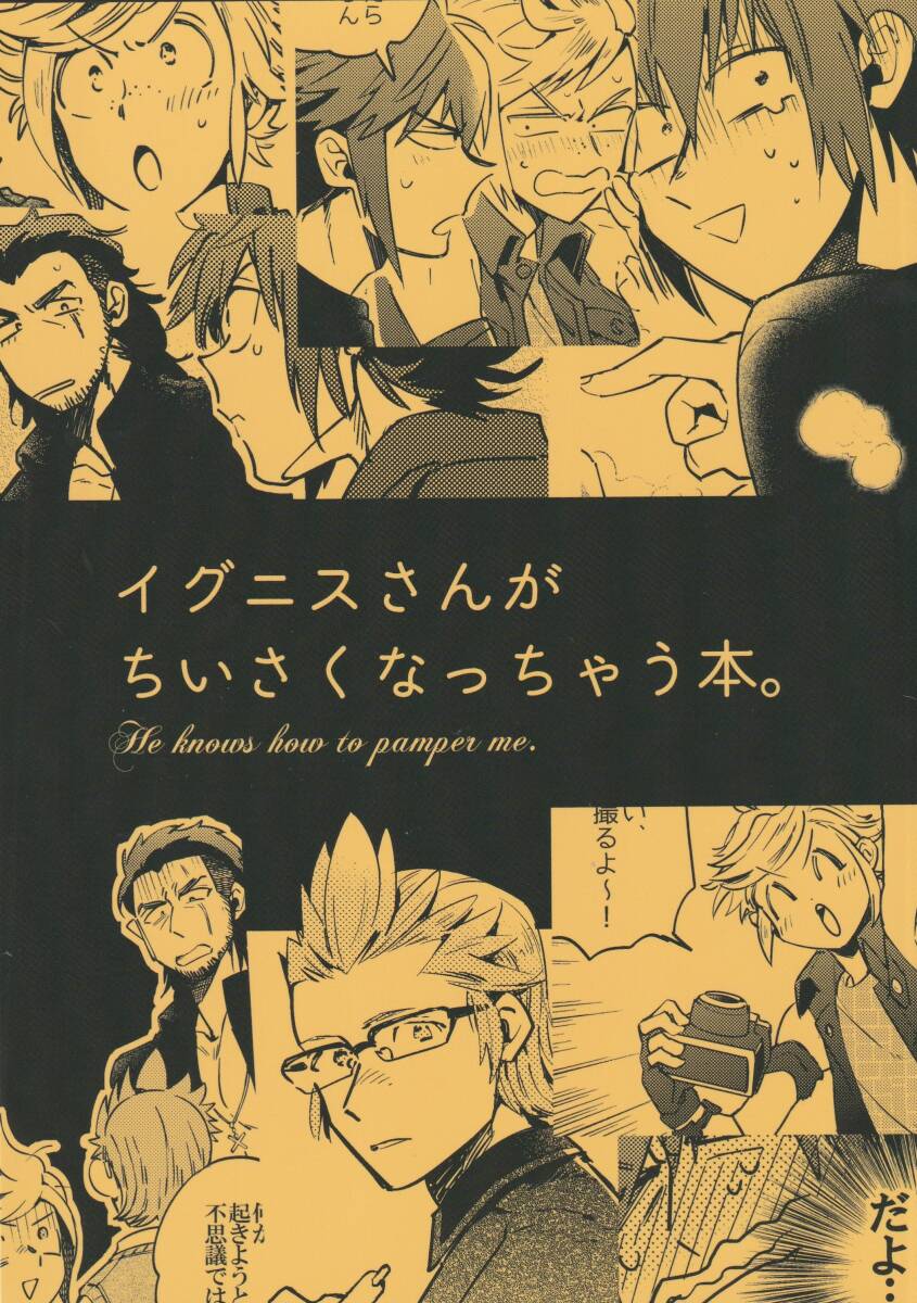 DDB(ケイ)「イグニスさんがちいさくなっちゃう本」ノクイグ ノクティス×イグニス FF15同人誌 FINAL FANTASY XV拍卖