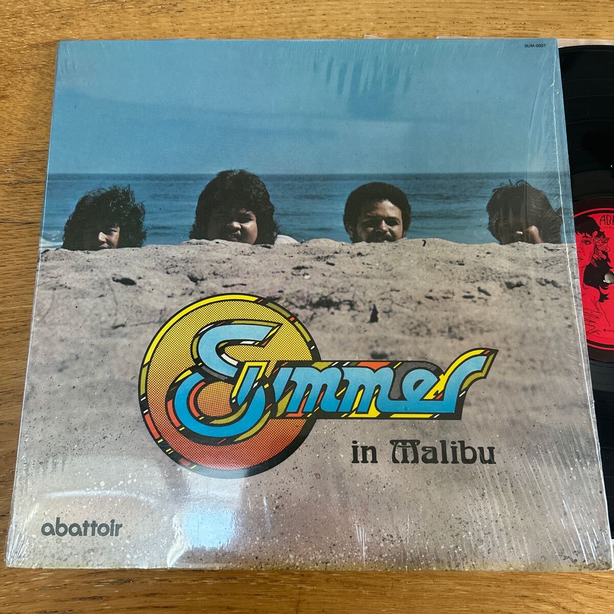 ハワイオリジナル Summer/ in malibu サマー拍卖