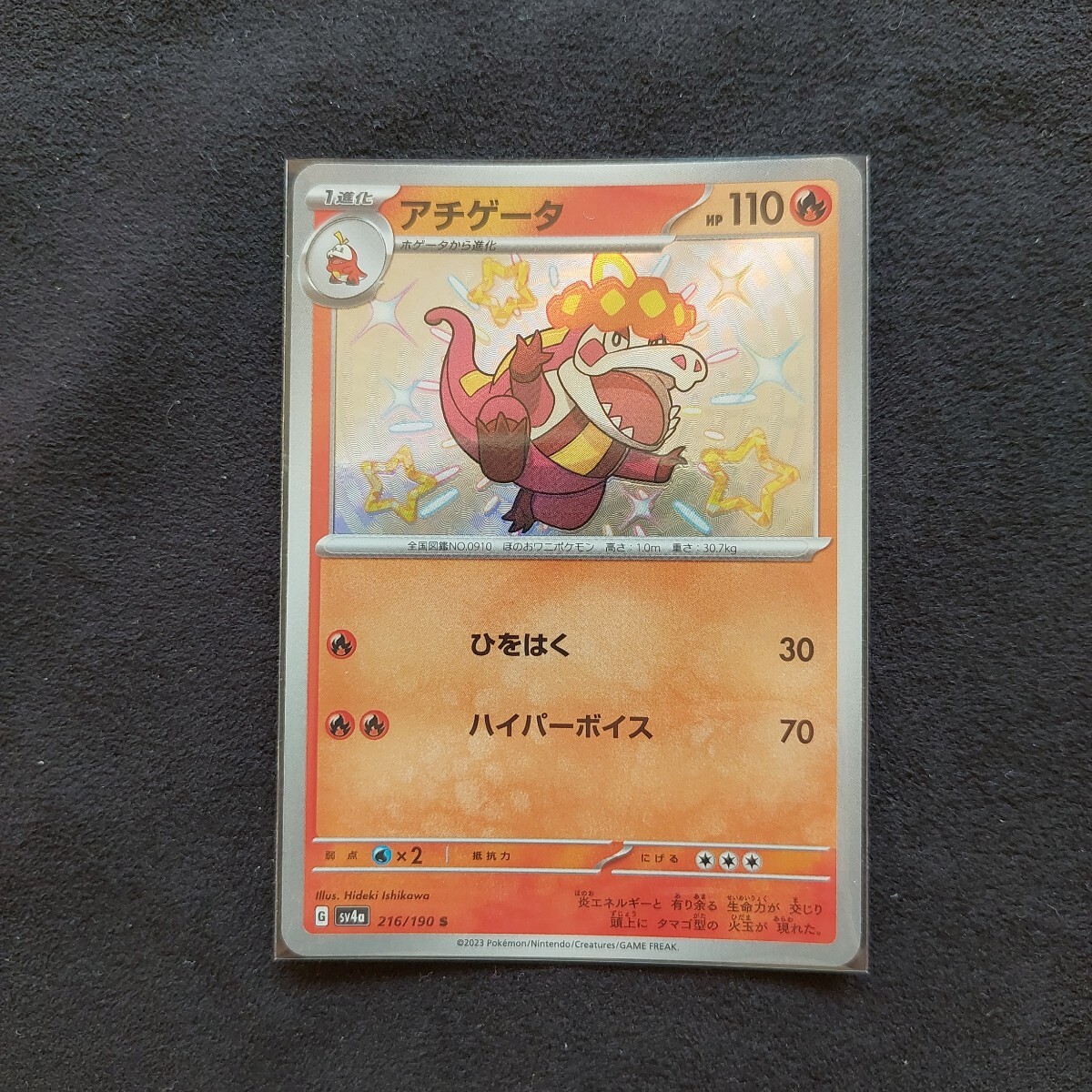 ポケモンカード アチゲータ s 色違い ポケカ拍卖