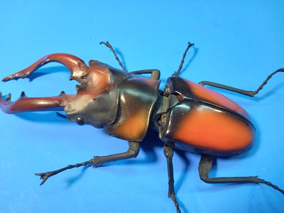 ノコギリクワガタ 生き物 リアル フィギュア拍卖