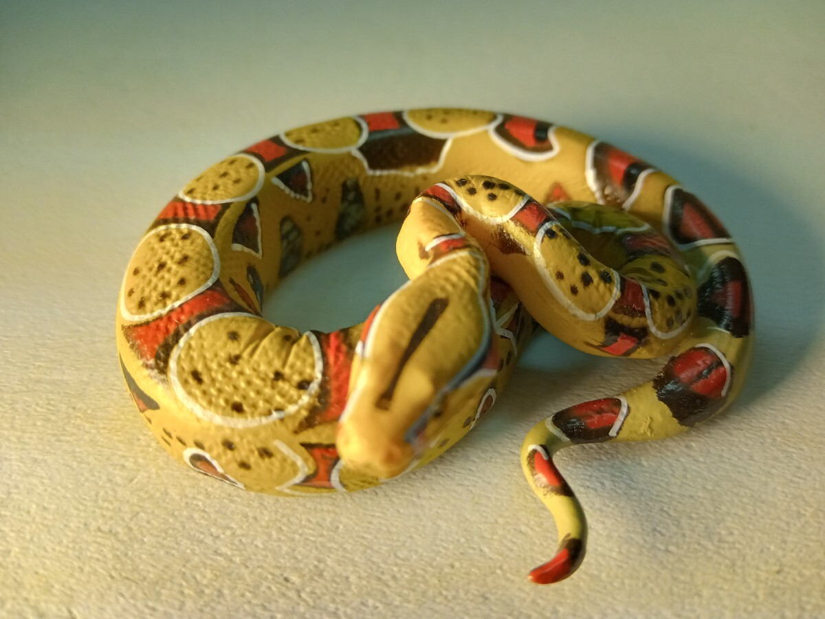 ボアコンストリクター へび フィギュア 生き物拍卖
