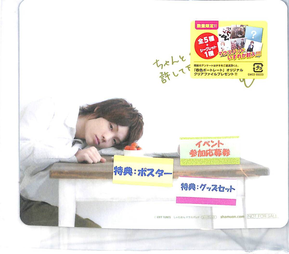 同梱可 しゃむおん ソファでうたた寝ver 携帯ストラップ マウスパッド セット「CD 春色ポートレート」 購入特典 歌003拍卖