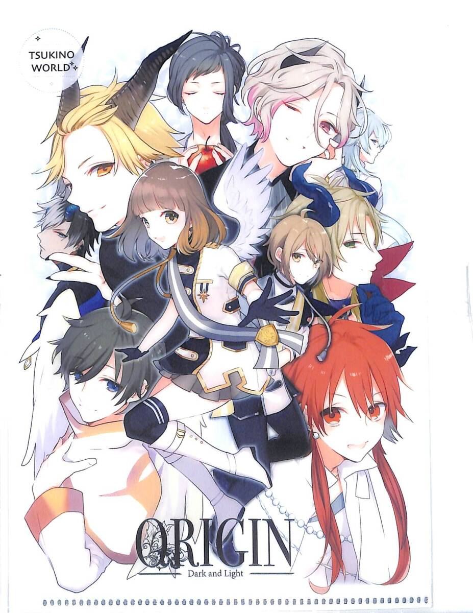 同梱可 TSUKINO WORLD ORIGIN Dark and Light クリアファイル ツ069拍卖