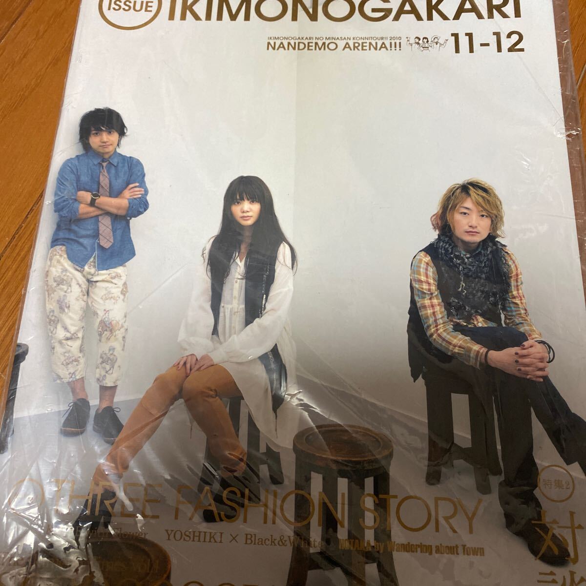 いきものがたり 2010 パンフレット拍卖