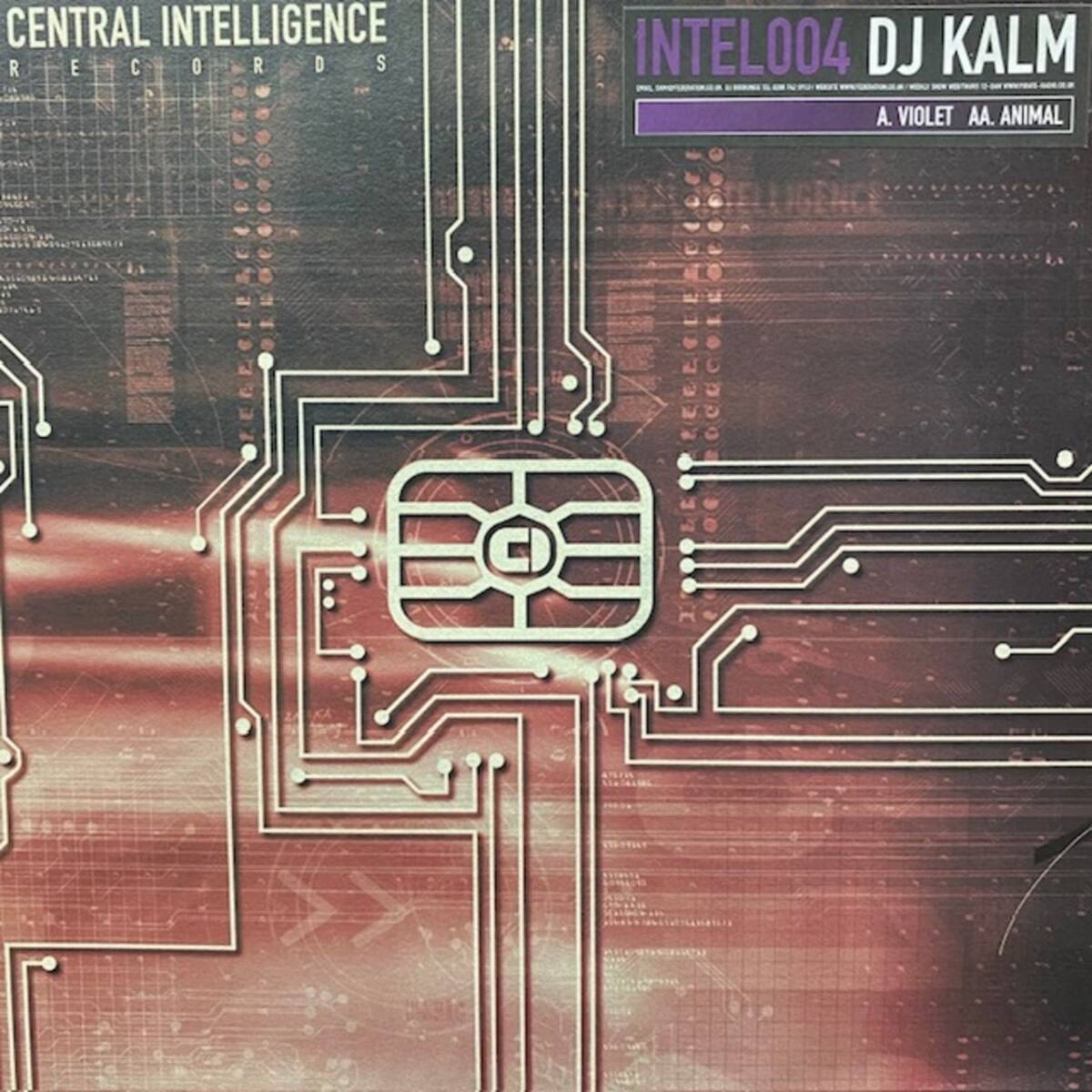 ★DJ Kalm - Animal / Violet(★美品!) ドラムンベース拍卖
