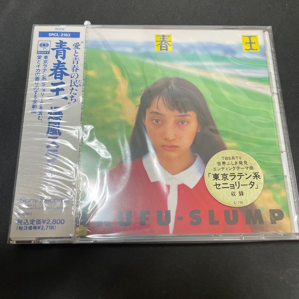 未開封 見本品 非売品 BAKUFU−SLUMP/青春王〜愛と青春の民たち '12*263拍卖