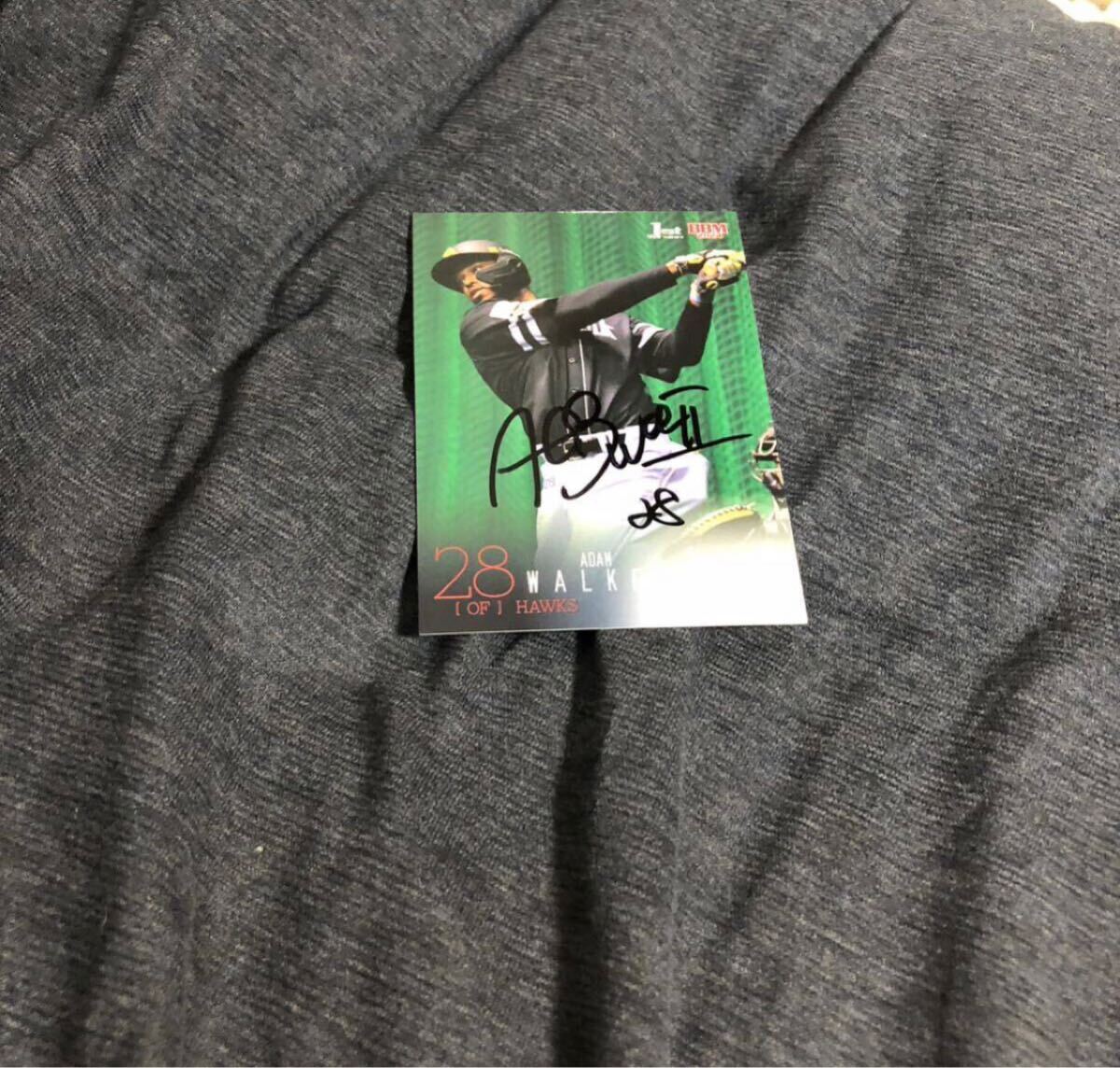 ソフトバンクホークス アダム ウォーカー 選手 直筆サインカード拍卖