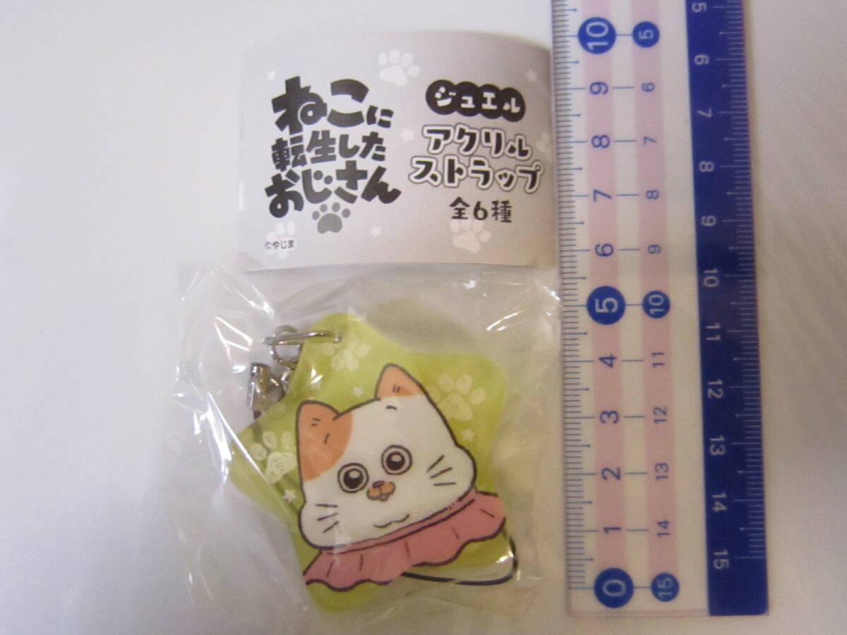 ねこに転生したおじさん ジュエルアクリルストラップ 1点 パクパク ネコ 猫拍卖