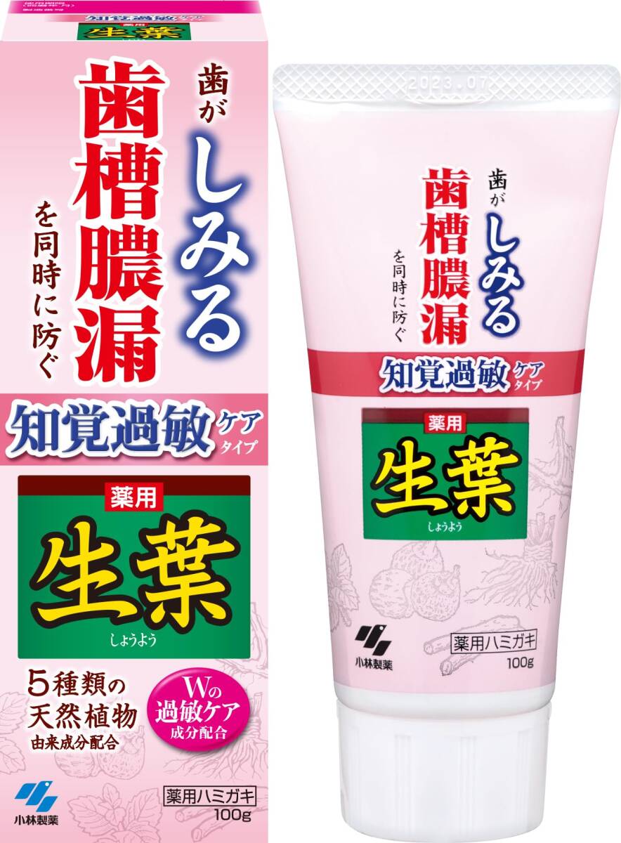 生葉s 知覚過敏症状予防タイプ 容量100G 小林製薬 歯磨き拍卖
