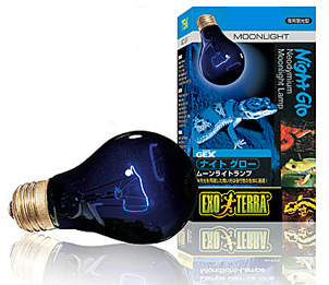 ナイトグロー ムーンライトランプ 50W PT2126 GEX(ジェックス) 爬虫類 両生類 砂漠 熱帯 夜 夜行性 ライト 電球 ヘビ トカゲ ヤモリ カメ拍卖
