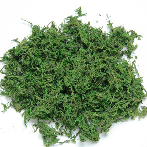 【メール便可/同梱不可】鈴虫の天然ゴケ 約6g i03 SANKO(三晃/サンコー)拍卖