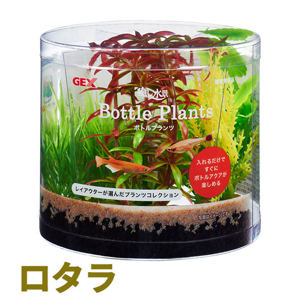 ボトルプランツ ロタラ GEX(ジェックス) ボトル水槽 プランツセット アクセサリー 水槽 グラスアクアリウム 手作り 人工水草拍卖