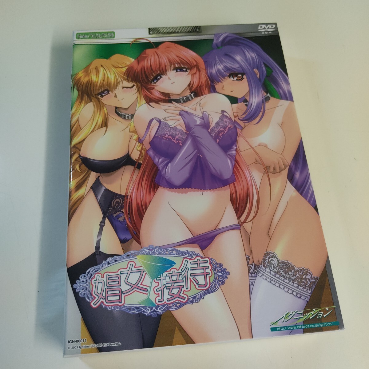 PCゲーム アダルト 娼女接待 Windows拍卖