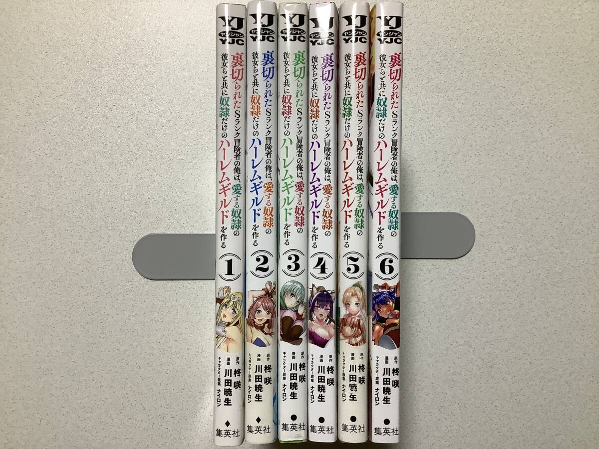 【ほぼ全巻初版本・美品】裏切られたSランク冒険者の俺は、愛する奴隷の彼女らと共に奴隷だけのハーレムギルドを作る 1~6巻 セット 異世界拍卖