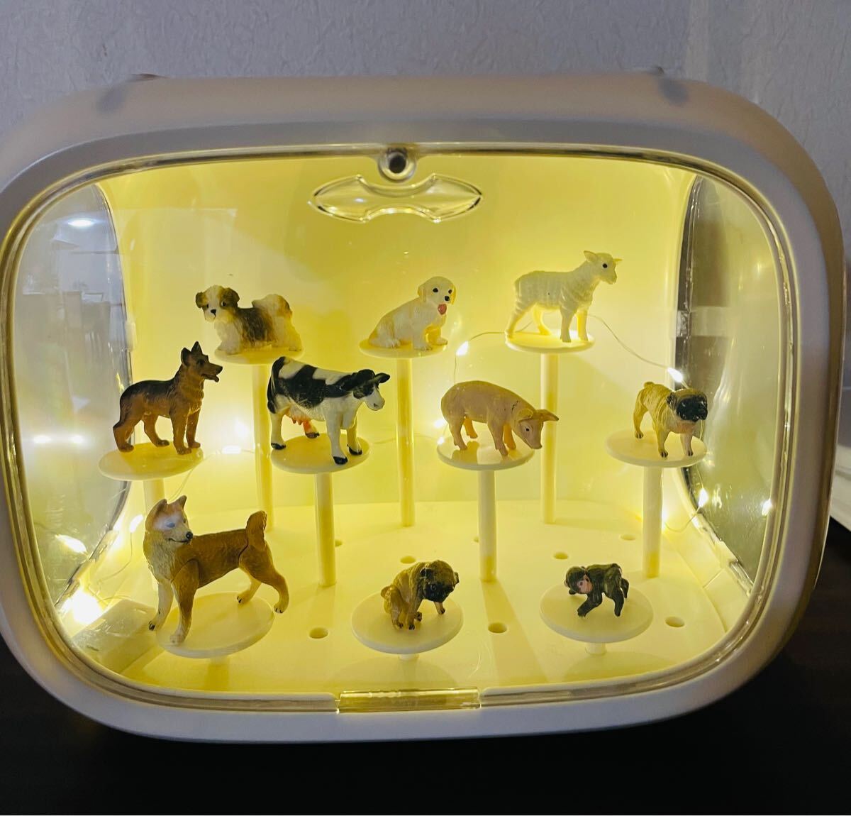 ライト付ディスプレイケース アイボリー 台座取り外し可能 縦連結可能 フィギュアケース拍卖