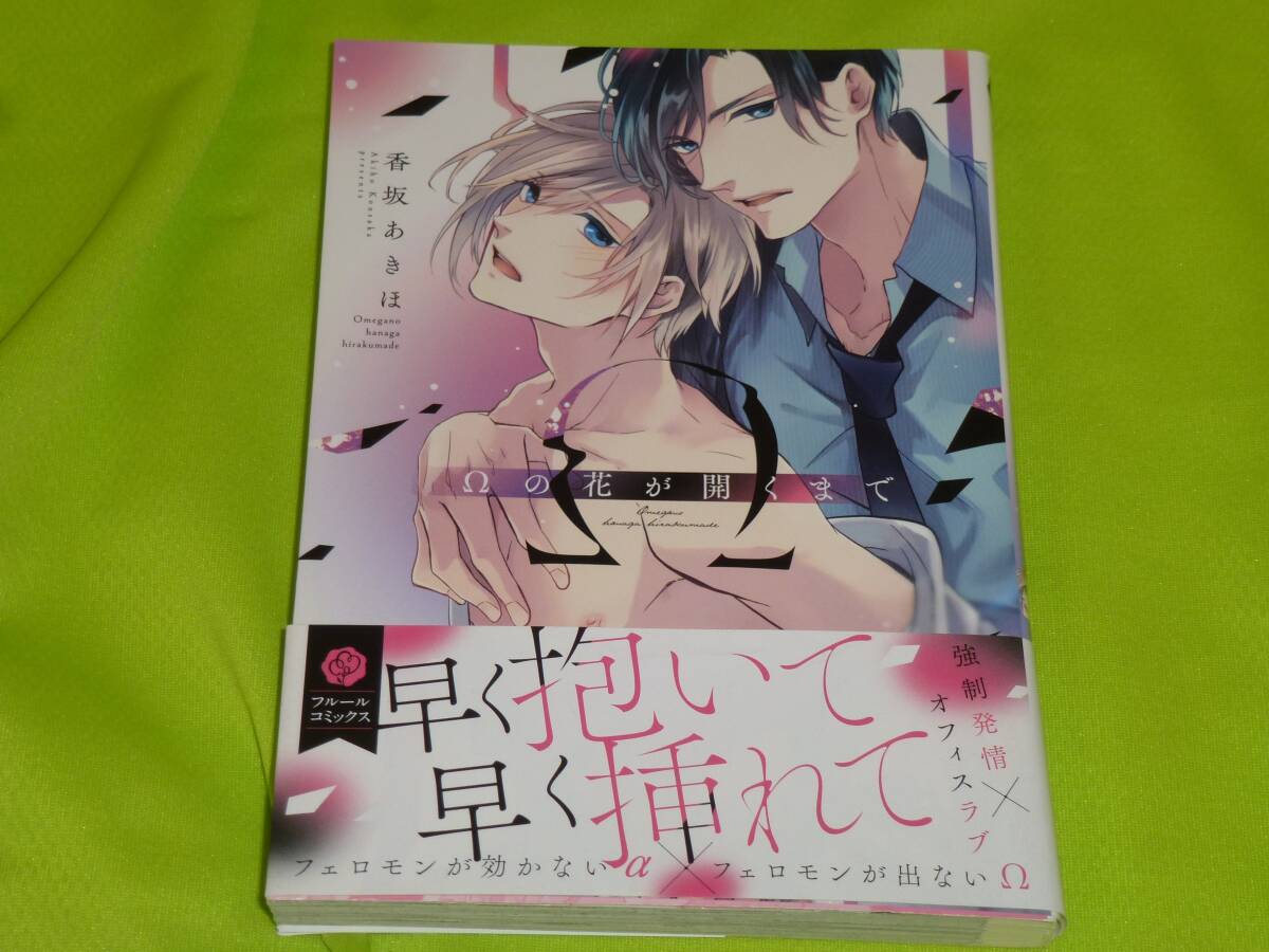 ★Ωの花が開くまで★香坂あきほ★送料112円拍卖
