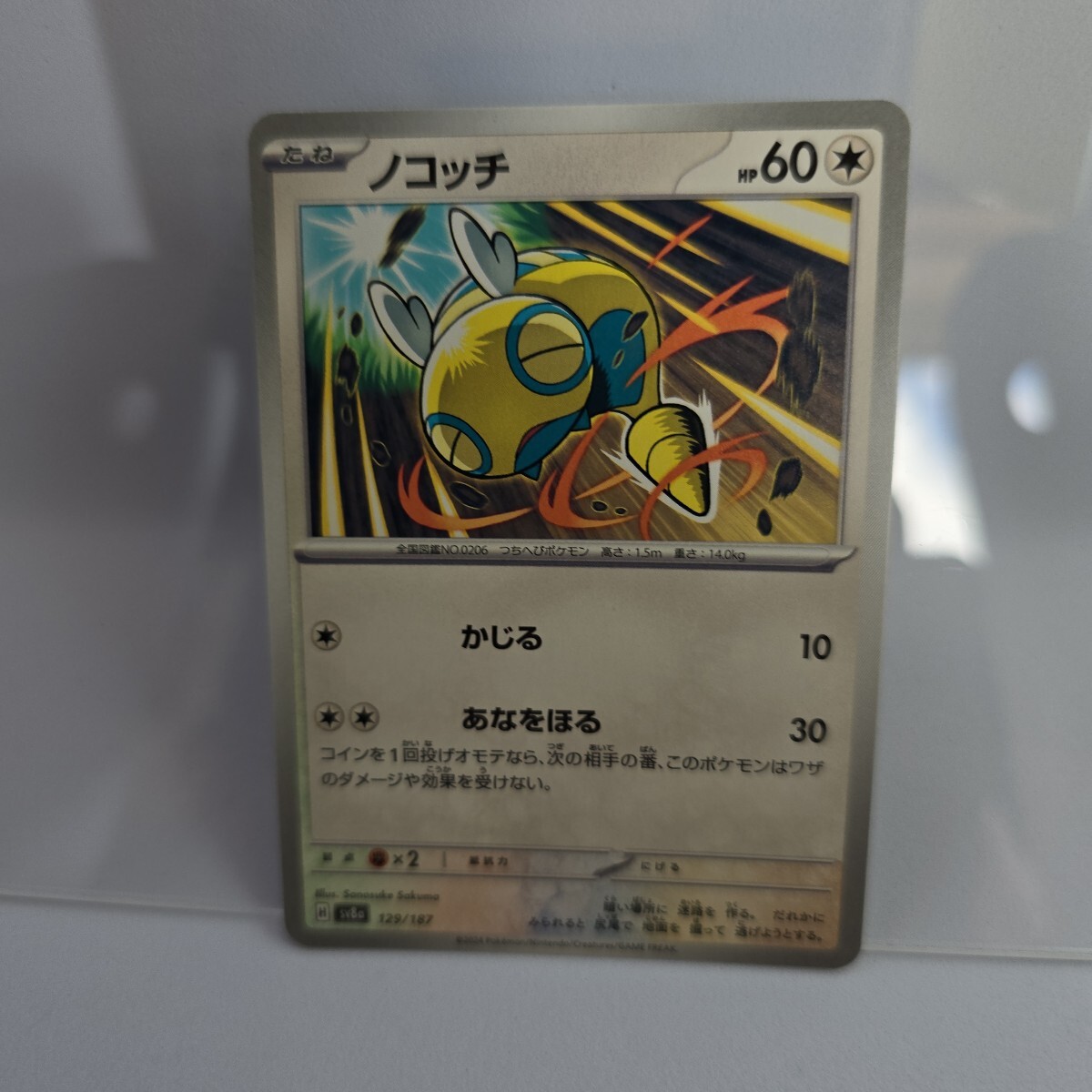 ポケモンカード ノコッチ sv8a 129/187 テラスタルフェスex. マルケン p000拍卖