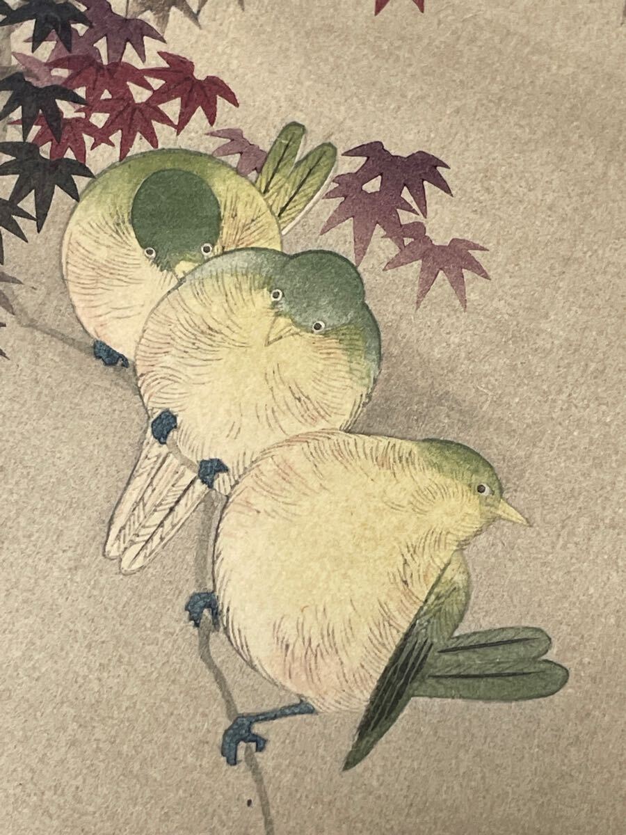 即決!真作 渡辺省亭/紅葉鳥の木版画(検索=新版画 川瀬巴水 笠松紫浪 土屋光逸 吉田博 小原古邨 祥邨 松亭 深水 英朋 清方 半古 白峰 言人拍卖