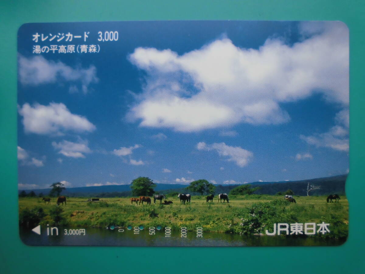 JR東 オレカ 使用済 湯の平高原 青森 【送料無料】拍卖