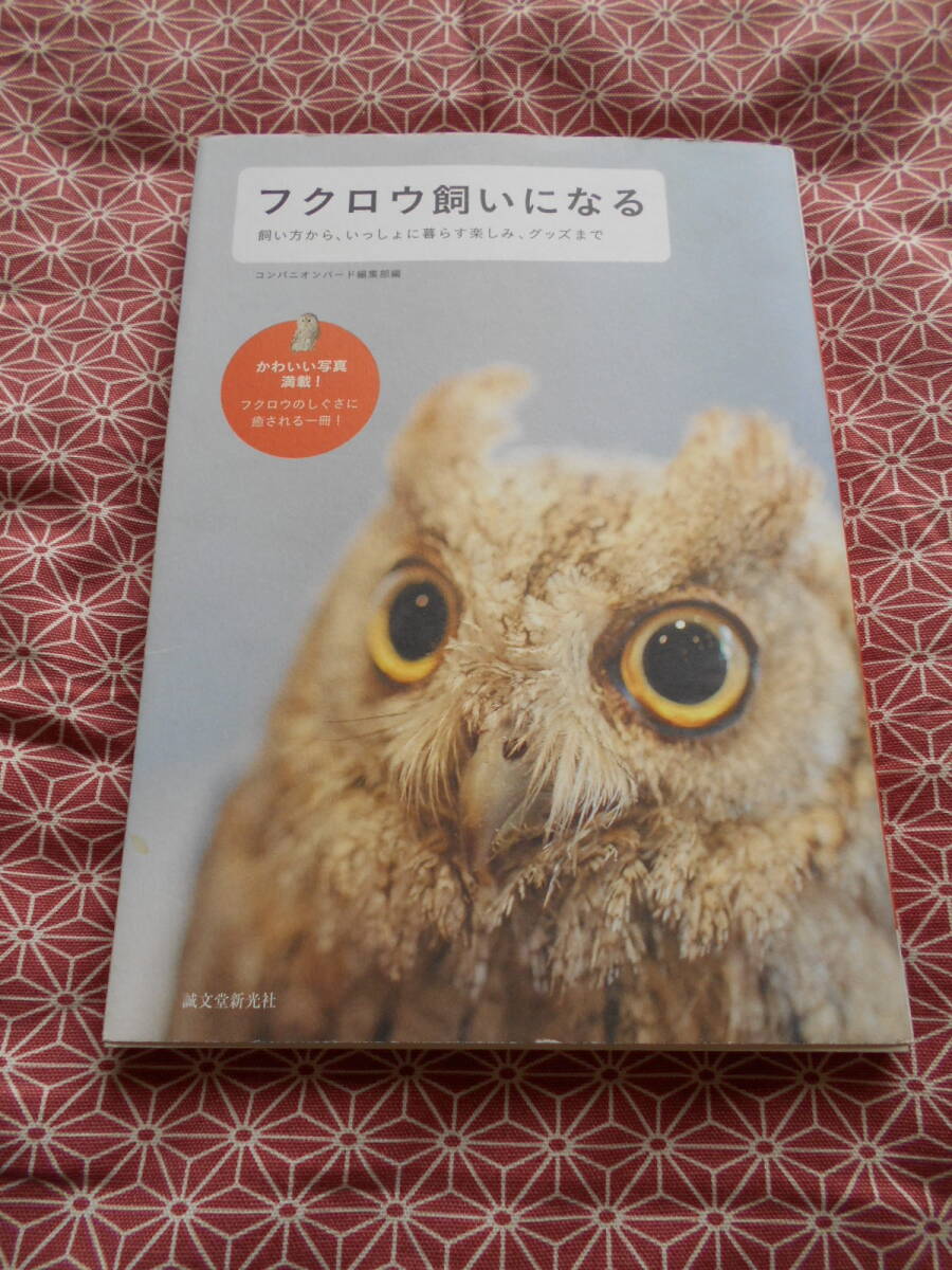 ★フクロウ飼いになる:飼い方からいっしょに暮らす楽しみグッズまで★コンパニオンバード編集部(編集)★ミミズクやフクロウ飼育したいです拍卖