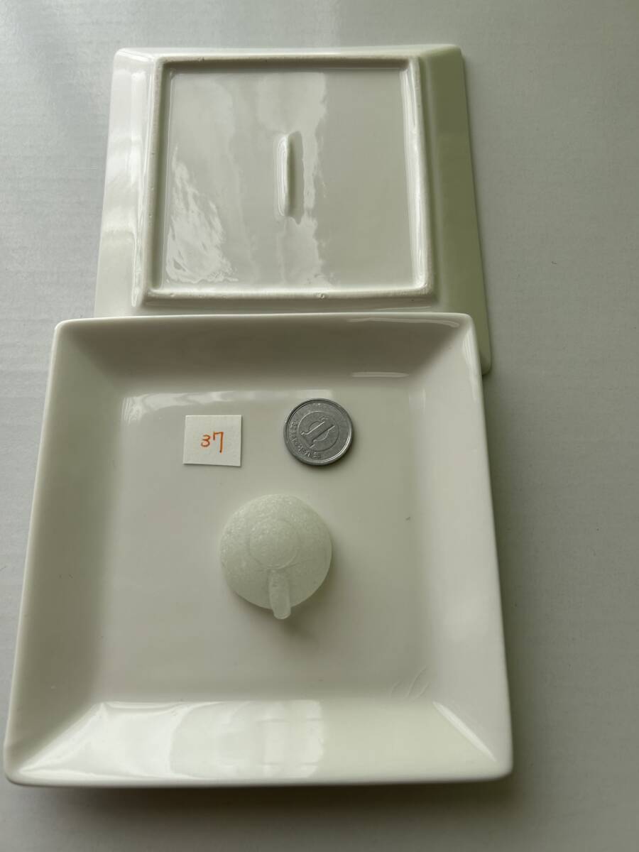 37 シーグラス拍卖