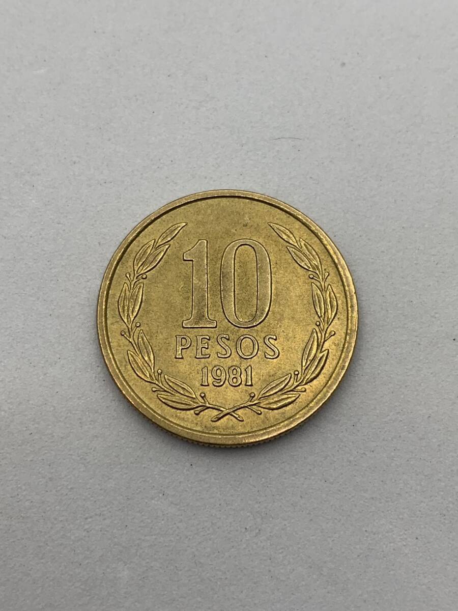 中古 チリ 10ペソ 1981年コイン ⑨拍卖