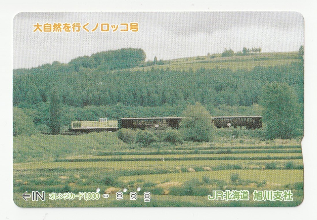 JR北海道オレンジカード1000 大自然を行くノロッコ号 旭川支社 ※使用済拍卖