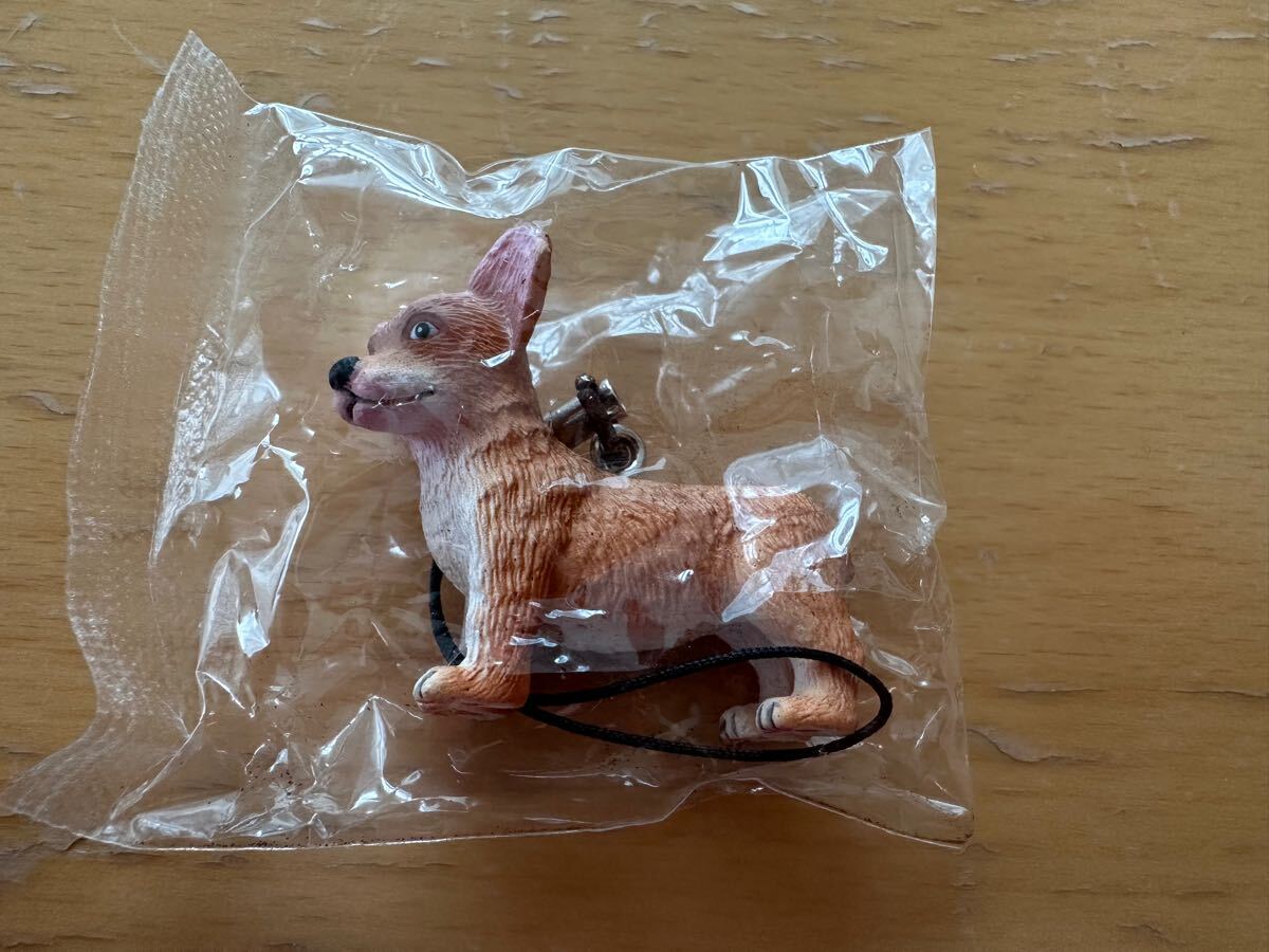 ガチャ コーギー CORGI ストラップ  フィギュア拍卖