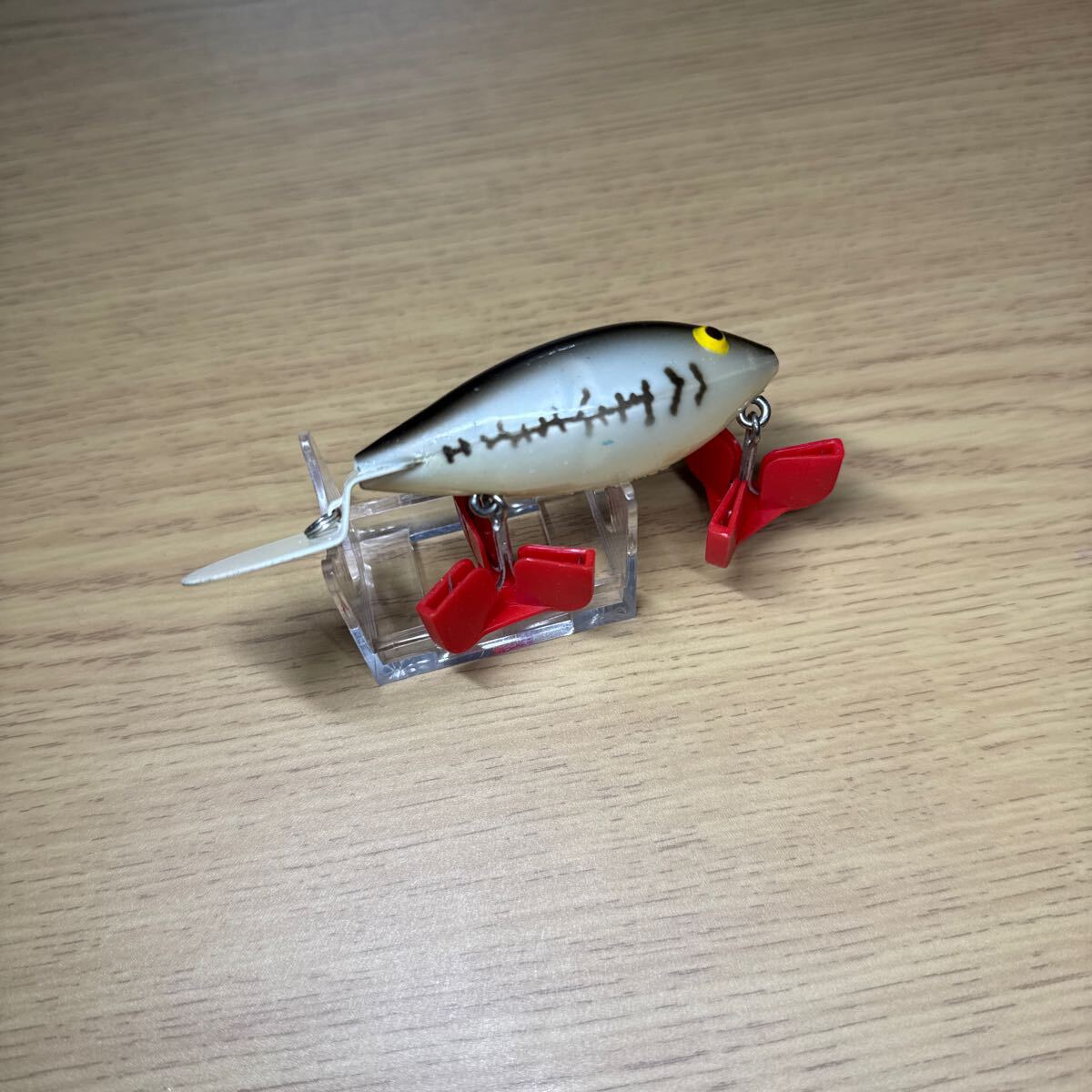 コットンコーデル クラブ 約65mm(ID05410)拍卖