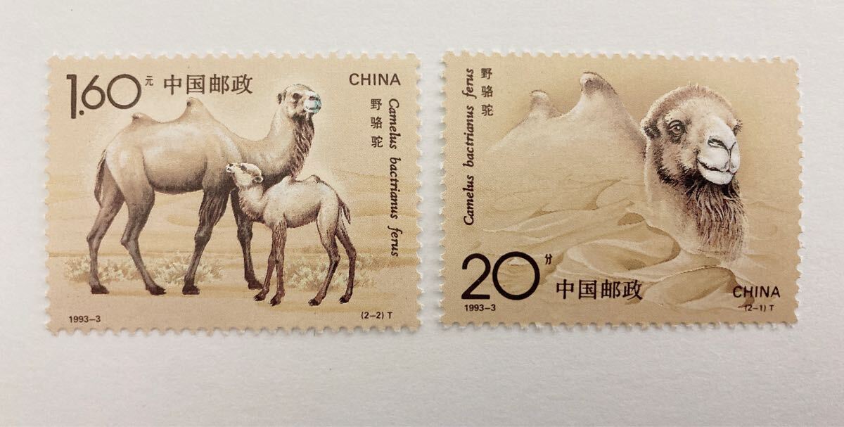 中国切手 野生のラクダ 1993-3T 未使用拍卖