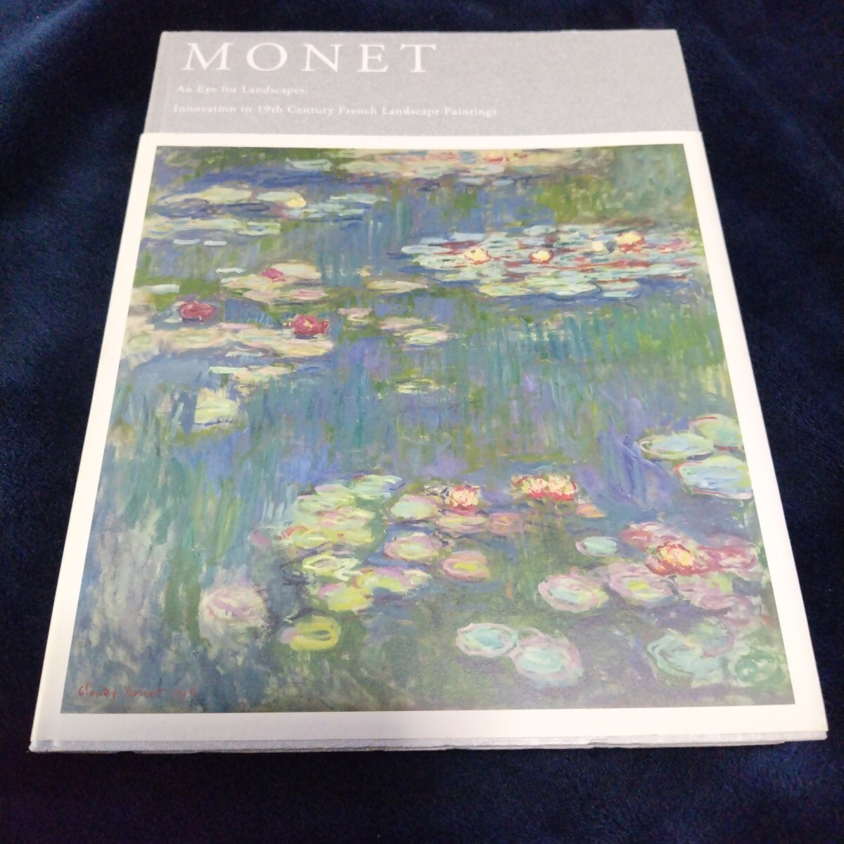 美 画集 図録◆モネ、風景をみる眼 19世紀フランス風景画の革新 2013年/ロダン シニャック ガレ ピカソ ピサロ ボナール ルノワール/sskw1拍卖