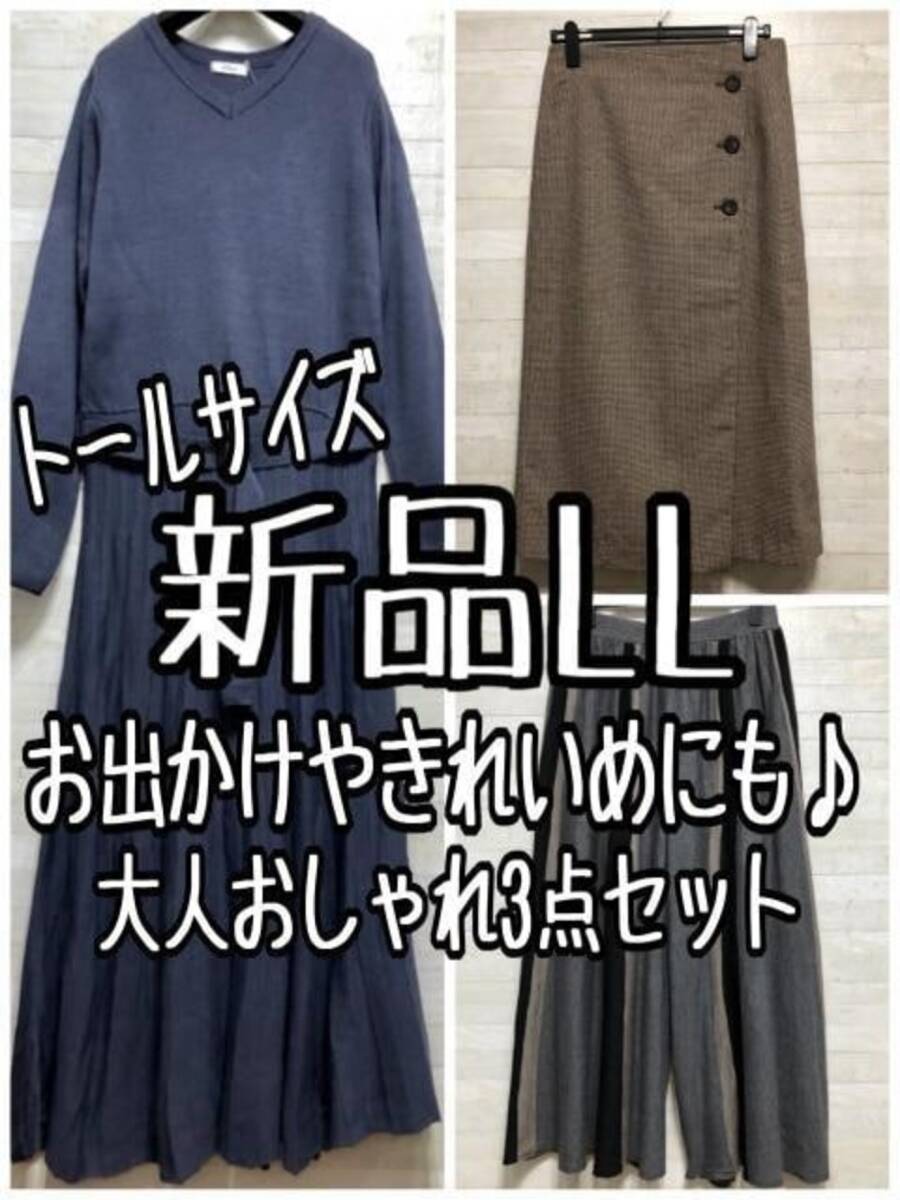 新品☆LLトール♪お出かけやきれいめにも♪おしゃれ3点セット〇A433拍卖