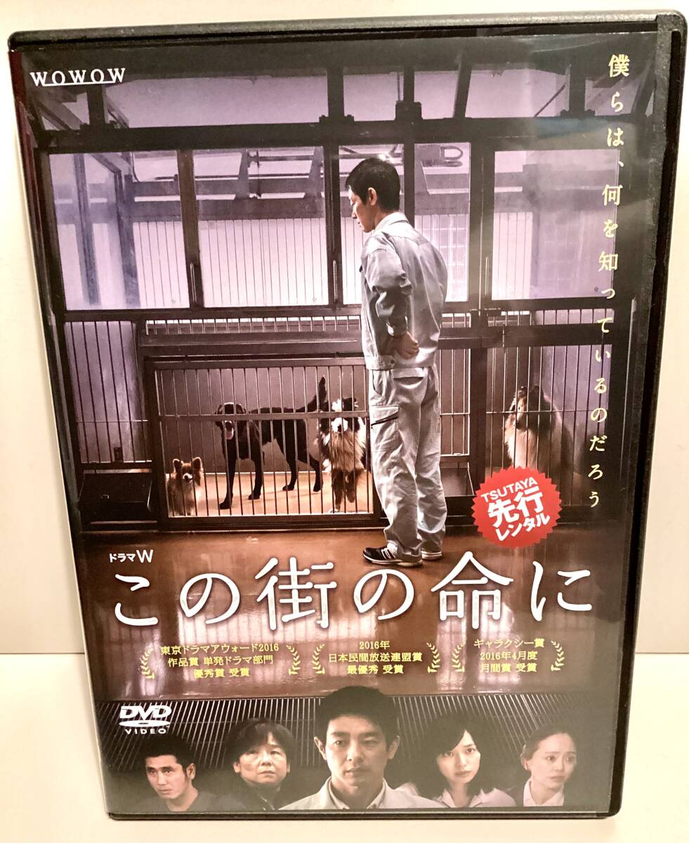 ★ この街の命に DVD / 加瀬亮 戸田恵梨香 田中裕子 渋川清彦 黒田大輔 即決。拍卖