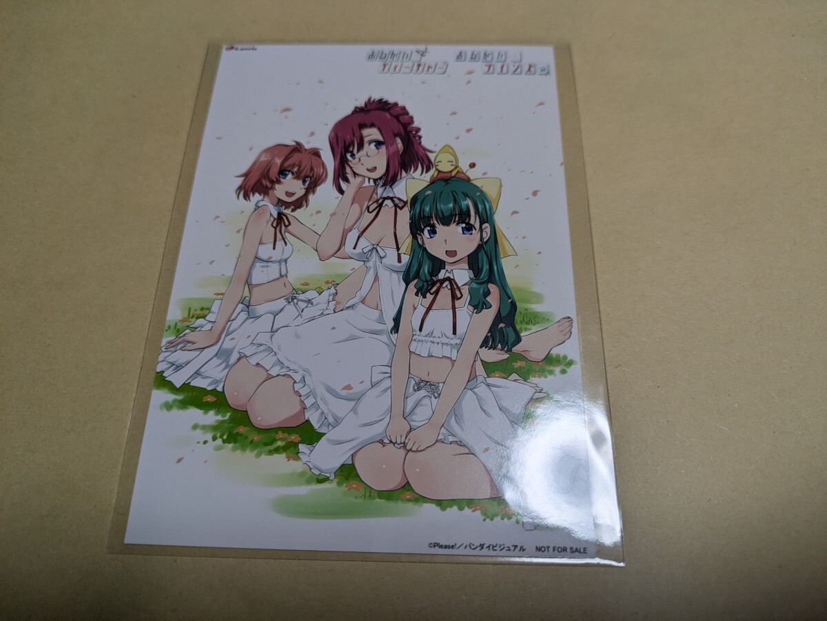 回帰新星-recurrent nova-/夏風ノスタルジア ゲーマーズ購入特典 ブロマイド おねがい☆ティーチャー おねがい☆ツインズ拍卖