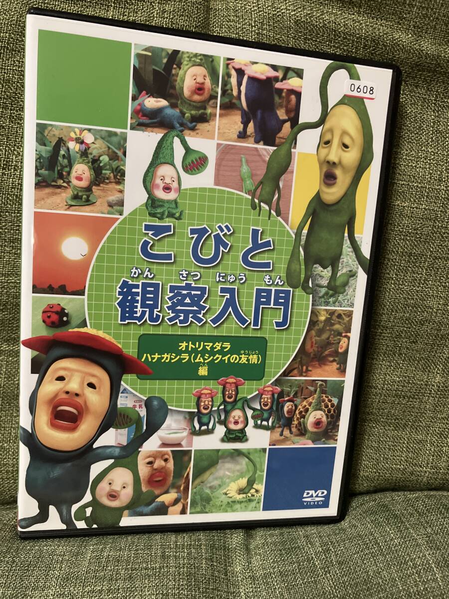 「こびと観察入門 オトリマダラ ハナガシラ(ムシクイの友情)編 」レンタル落ち中古 DVD 全編視聴確認済 送料無料拍卖