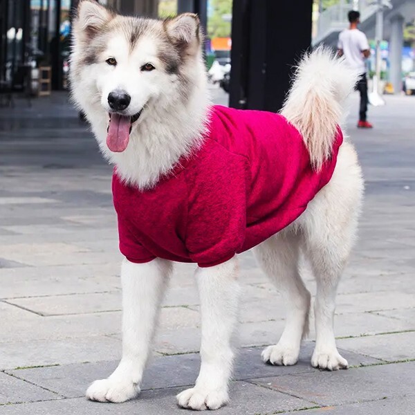 犬服 Dog ペット服 セーター 冬服 秋服 裏起毛 レッド 3XL アメリカンピットブルテリア ウェルシュ コーギー 甲斐犬 紀州犬 北海道犬拍卖