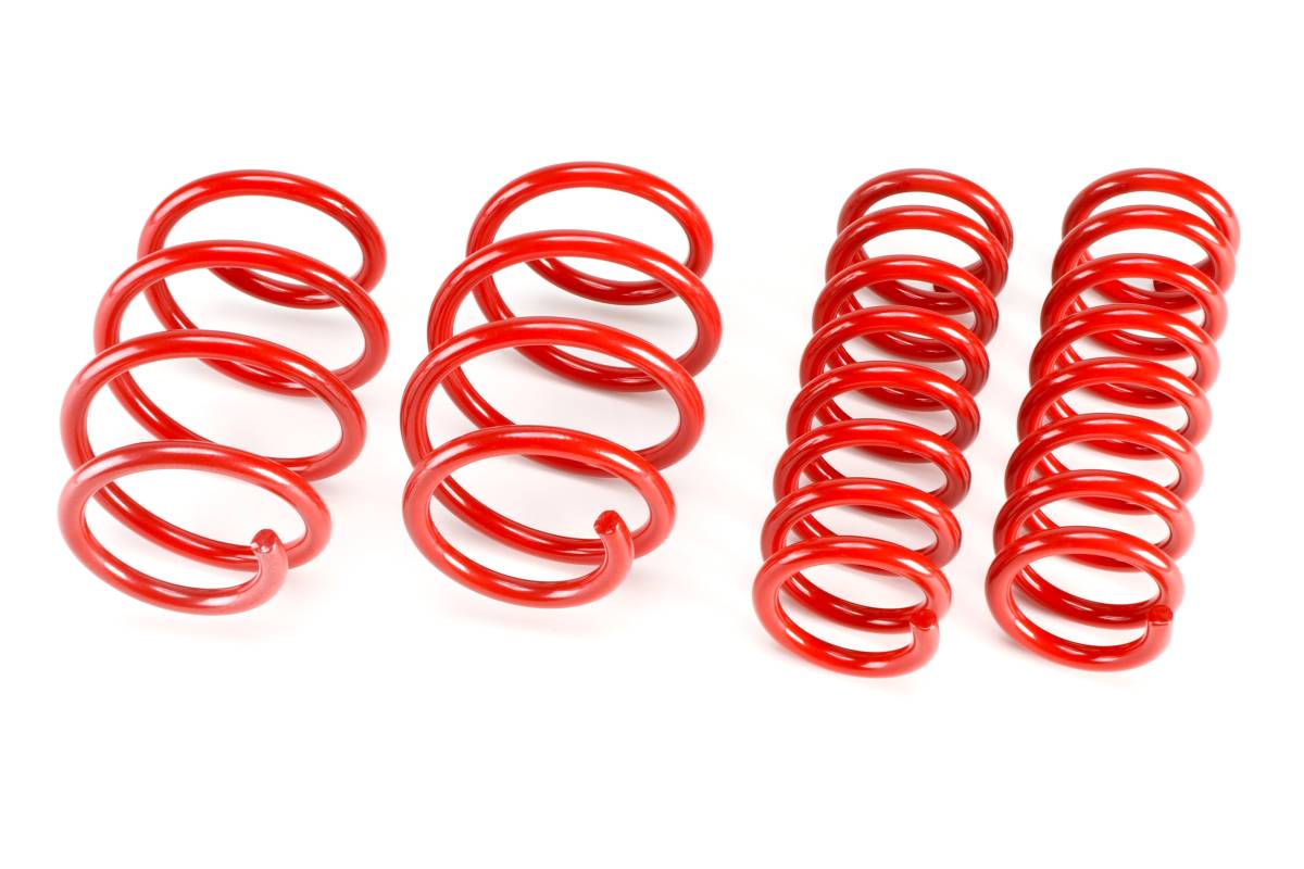 【新品/デリカ D:5 (MC後車)用】X-FANG(旧TGS)製「ローダウンスプリング 」TGS-490790-00【送料無料】拍卖