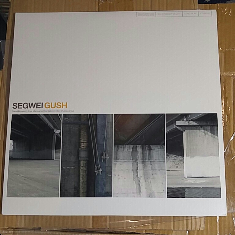SEGWEI「Gush」邦LPレコード★Emo Hardcore Post Rock 拍卖