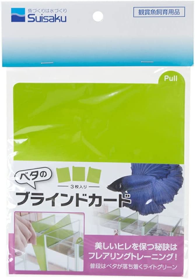 【送料無料】水作 ベタのブラインドカード拍卖