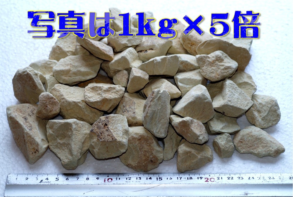 (有)JUN 高純度 国産 モンモリロナイト 5kg 水質改善に効果あり!! ミネラル 補給 新品 シュリンプ 水草拍卖