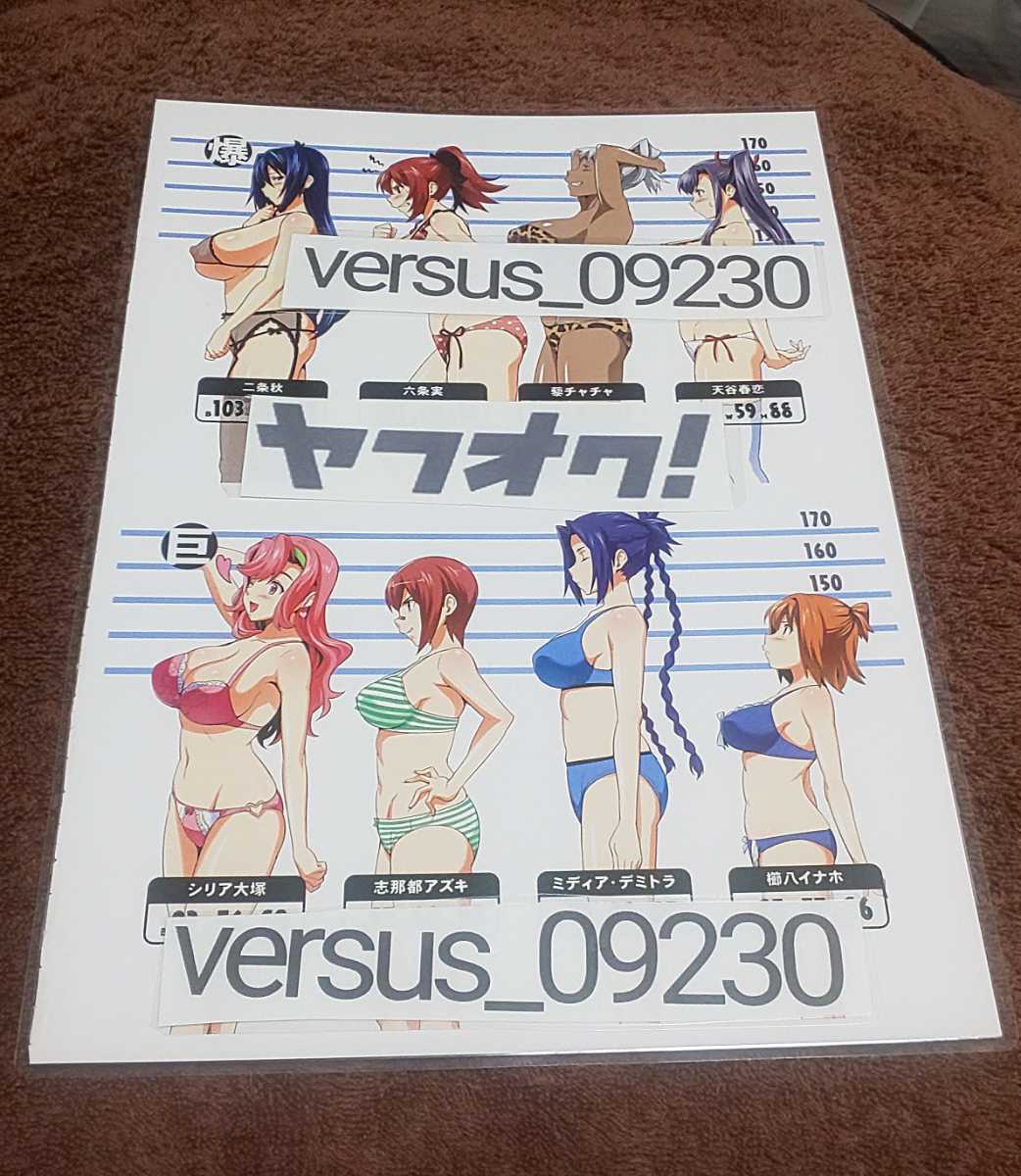 最終値下げ!!♪『マケン姫っ!』♪両面イラスト♪切り抜き♪ラミネート加工済♪A4sizeのフィルム使用♪武田弘光♪⑮♪拍卖