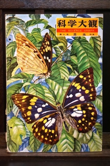 ◆難あり◆ 科学大観 THE SCIENCE GRAPH 第6号 昆虫 特集 昭和36年9月 初版 株式会社 世界文化社 昭和レトロ拍卖