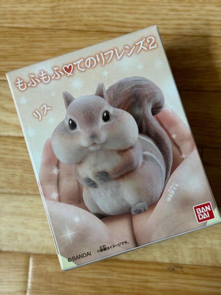ラスト1点!BANDAI もふもふてのりフレンズ2 リス 1個 もふもふてのりフレンズ もふもふ 小動物 食玩 バンダイ拍卖